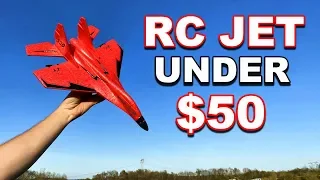 RC Jet SU27 MIG-530 COMPLETELY READY TO FLY - Super Cheap RC Jet Worth it? - TheRcSaylors