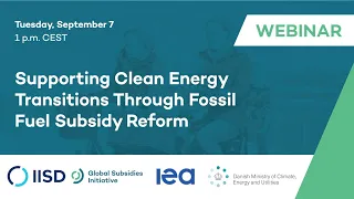 Webinar | Supporting Clean Energy Transitions Through Fossil Fuel Subsidy Reform