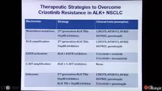 Advances in Targeted Therapies for Lung Cancer