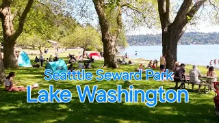 🇺🇸 Exploring Seattle; Lake Washington, Seward Park, front Lake neighborhoods by riding scooter tour!