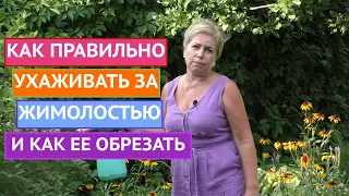 УХОД ЗА ЖИМОЛОСТЯМИ!УДВАИВАЕМ УРОЖАЙ!