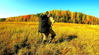 Не Ожидал, Что на Этом Болоте Много Клюквы. Готовлю Шашлык на Мангале Unikit. Сказочная Карелия