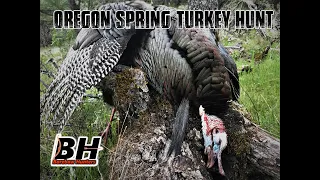 Traditional Bowhunting Oregon Turkeys