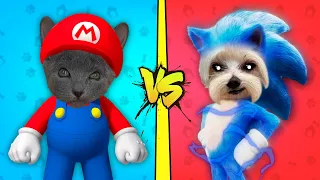 GATO MARIOS BROS VS PERRO SONIC ¿QUIEN GANA?