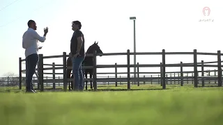 SÉRIE: A TRAJETÓRIA DE UM CAMPEÃO NACIONAL - OURIÇO DO MONTEIRO