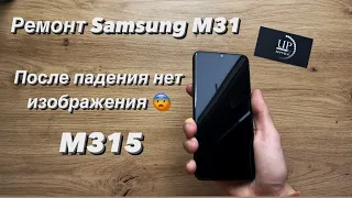 Ремонт Samsung m31 m315f, полный разбор телефона, замена дисплейного модуля СЦ “UPservice” Киев