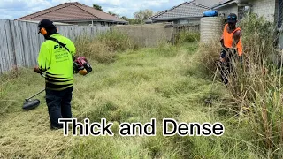 The Backyard - Helping Out My Neighbour #satisfyingvideo #mowinggrass #mowingthelawn #tallgrass