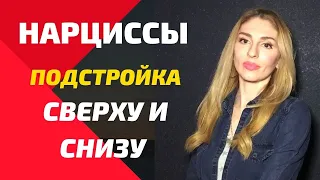 Нарциссы. ПОДСТРОЙКА Сверху и Снизу.