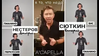 Дмитрий Нестеров и Валерий Сюткин - Я то, что надо / АКАПЕЛЬНАЯ ВЕРСИЯ / все звуки - это голос