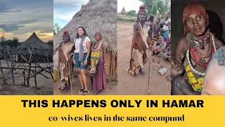 Hamar - Polygamy Tribe- All wives lives in the same compound