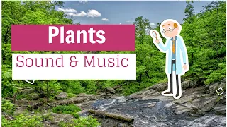 The Sound of Music and Plants