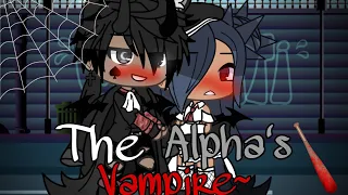 The Alpha’s Vampire | Gacha Life | GLMM