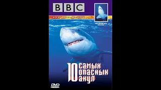 10 самых опасных акул. Документальный фильм BBC