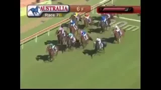 GOLDEN SLIPPER 2016 - Capitalist