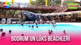 Bodrum'un lüks beachleri ve fiyatları!