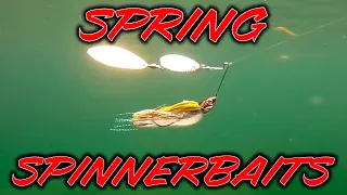 Spring Spinnerbait Fishing! Everything You Need To Know!