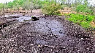 Beaver Dam Removal! || Checking In On Father Beaver Dam 3 Days Later! 👀