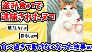 【2ch動物スレ】盗み食いで逮捕された猫さん → 食べ過ぎて動けなくなった結果www