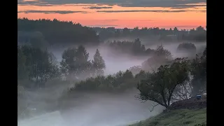 Туманы,туманы,верните мне маму. Песня до слез.