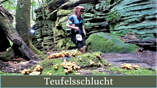 Teufelsschlucht Eifel