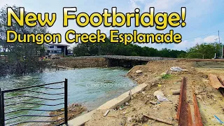 Iloilo City - Dungon Creek Esplanade - Footbridge 2