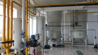 Rapeseed/canola oil processing solution -- Rapeseed processing, solvent extraction & refining plant