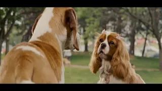 Underdog (2007) - Polly and Molly + discovering Shoeshine's superhero abilities