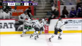 The PWHL Playoffs Are Absolutely INSANE (MUST SEE)...