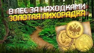 В лес за находками. Поиск на старых дорогах.