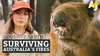 The World's Only Koala Hospital vs. Australia Bushfires