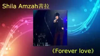 茜拉Shila Amzah - Forever love @ 我是歌手 20140314【Audio】