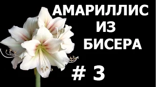 Бисероплетение (Амариллис 3 ч.) Мастер-класс