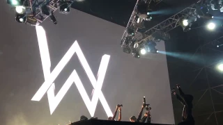 2016-12-7【Alan Walker Live in Taipei 2016】