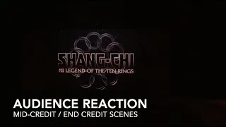 Audience Reaction To Shang-Chi End Credit / Mid Credit / Post Credit Scene