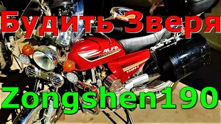 Пробуждение зверя ZONGSHEN 190 после зимней спячки на МЕГА АЛЬФЕ!!!