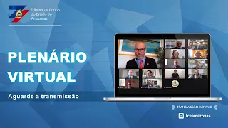 40ª Sessão Ordinária do Tribunal Pleno - 41ª Sessão Virtual