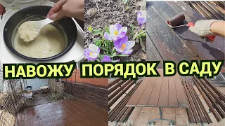 Влог/Каша из фицифолии/Перекрашиваю садовую мебель/Потери среди роз/Садовые дела@SubTatiana