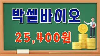 박셀바이오 (323990)   중장기 흐름상 기술적으로 중요한 가격대에서 만들어진 상한가 캔들