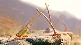 A SQUAD OF ANTS create POWERFUL WEAPONS to PROTECT their precious SUGAR LUMPS - RECAP