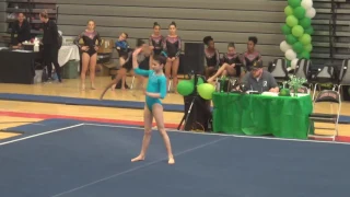 1st Place USAG Level 7 Floor Routine 2017| Leprechaun Classic | Brooke Lim's 9.625