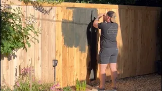 We stained the fence! Black! 😱😍 || Vist Our Garden
