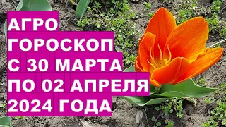 Агрогороскоп с 30 марта по 02 апреля 2024 года Agrohoroscope from March 30 to April 2, 2024