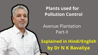 Plants used for Pollution control by Dr N K Bavaliya Principal Govt Science College Sikar Rajasthan