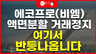 에코프로(비엠) 액면분할 거래정지 여기서 반등나옵니다