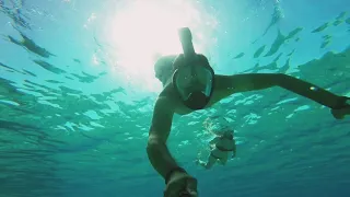 Snorkeling, Ayia Napa. Cyprus🇨🇾