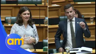Does NZ need a wealth tax? David Seymour and Chlöe Swarbrick clash over tax fairness | AM