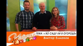 Чайники Эфир 7 06 17 тема во саду ли в огороде Виктор Елманов