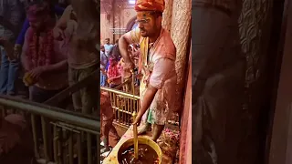 बाँके बिहारी मंदिर में होली का आनंद #bankebihari #shorts #vrindavan #holi #krishna #holi2023 #short