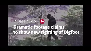 Muscular Bigfoot Caught on Film in Idaho.