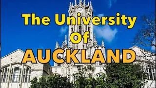 Driving Around The University of Auckland | New Zealand 🇳🇿